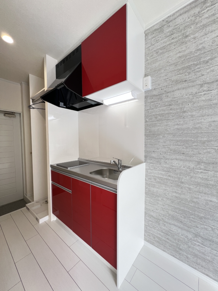 室内リノベーション済みワンルーム【ヘレネ林間/東林間】