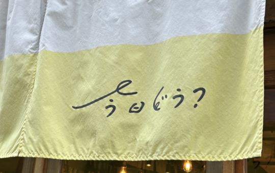毎日でも通いたい！『今日どう？』の丁寧な料理に感動♪