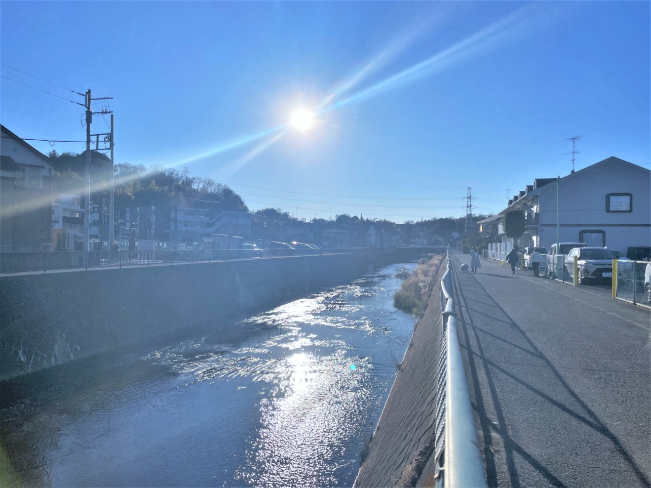 日常に寄り添う景色！鶴見川♪