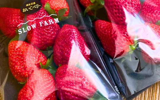 季節の恵みを身近に！SLOW FARM♪
