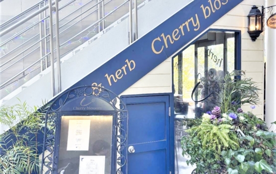 願いが叶う欧風カレー！Curry&herb Cherry blossom♪