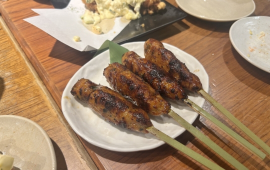 ボリュームたっぷりで大満足♪『とり鉄 経堂店』で宴会