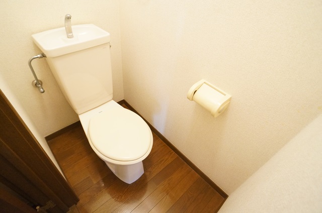 出窓付き2面採光☆【パレス銀嶺】