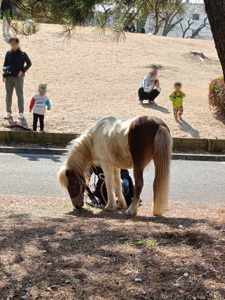 風の森バザール【諏訪名店街・諏訪第七公園】