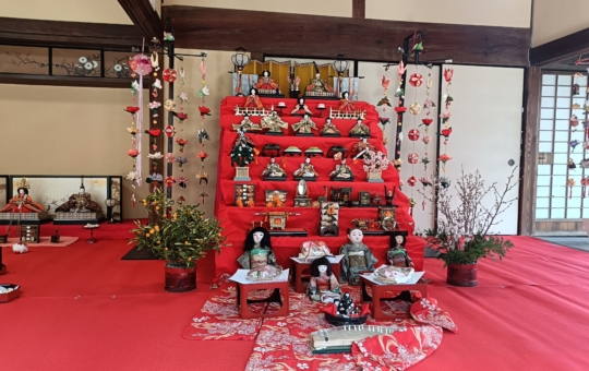 つるし雛と梅まつり【百草園】