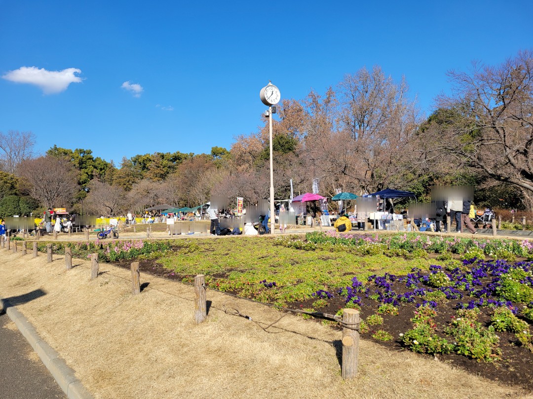 芦花公園花の丘フェスタ🌼【餅つき大会】