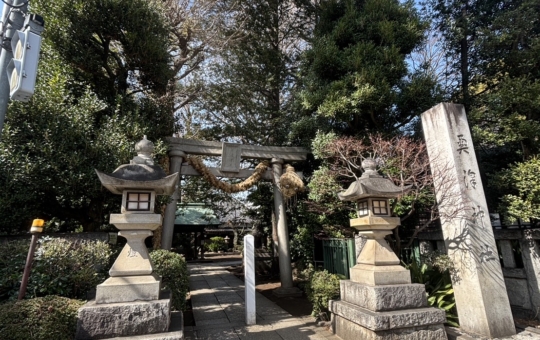 奥沢の癒しスポット【奥澤神社】