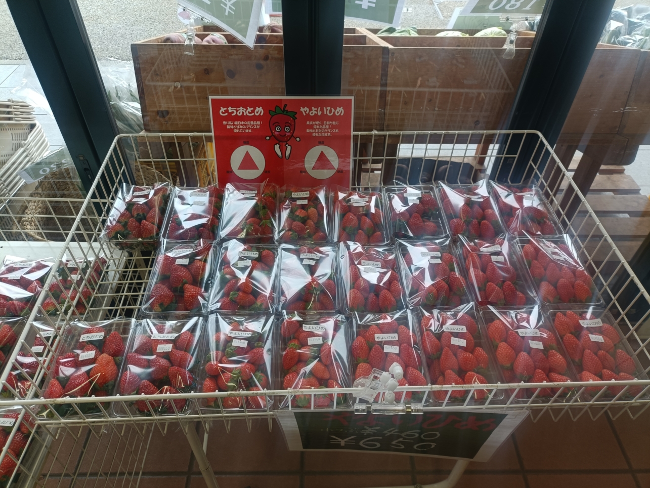 多摩で育った野菜といちご【フロリコ食堂】