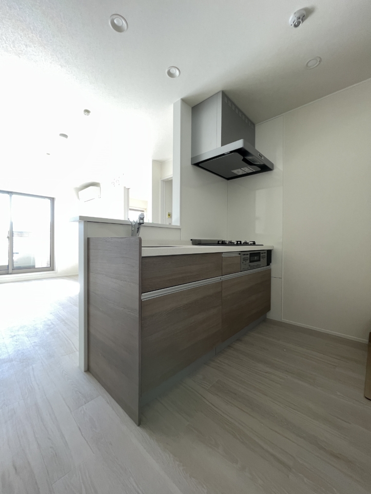 駅徒歩2分！！新築2LDK！！☆(ダイワフラットⅢ 201)