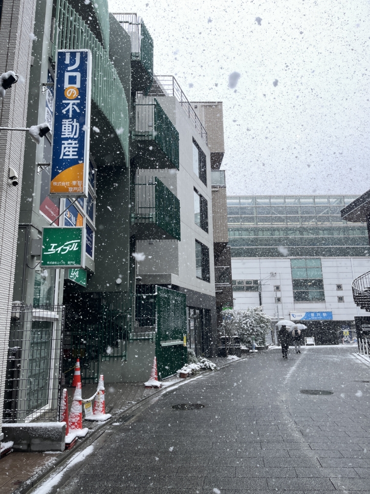 登戸に初雪⛄が降りました！