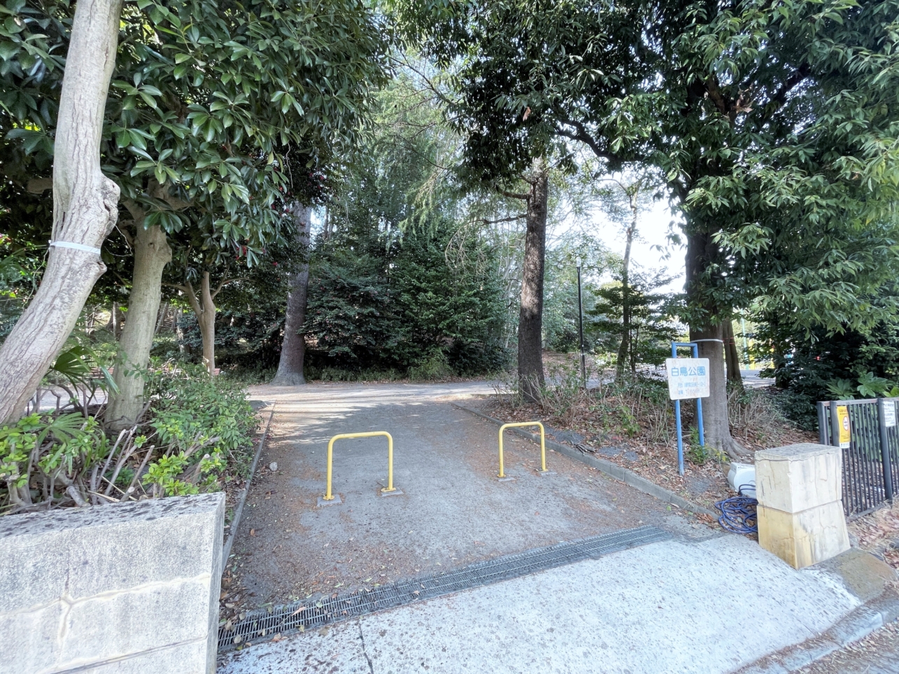 神社と隣り合う癒やしスポット！白鳥公園♪