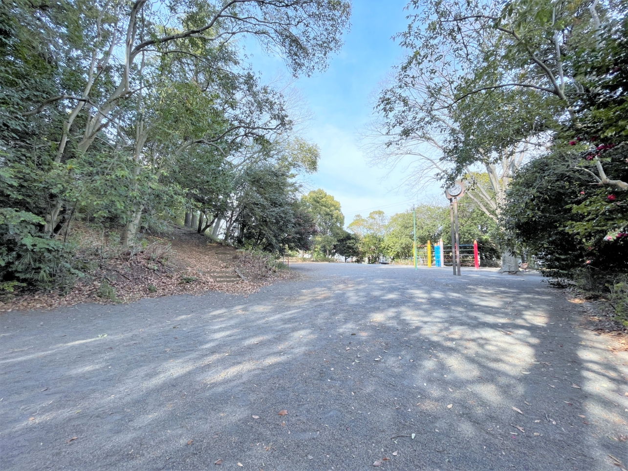 神社と隣り合う癒やしスポット！白鳥公園♪