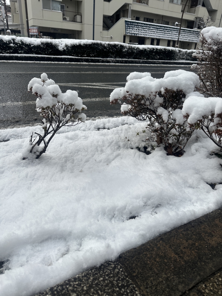多摩地区☆　積雪　☆