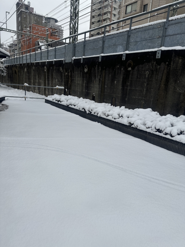 多摩地区☆　積雪　☆