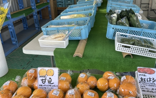いきいき市☆多摩市　地場野菜販売☆