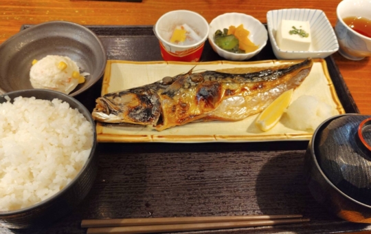 老舗居酒屋【ガクさん/相模大野店】