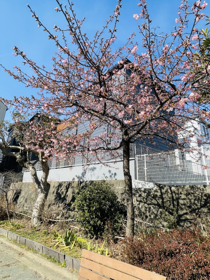 【保土ヶ谷区】川島町第3公園