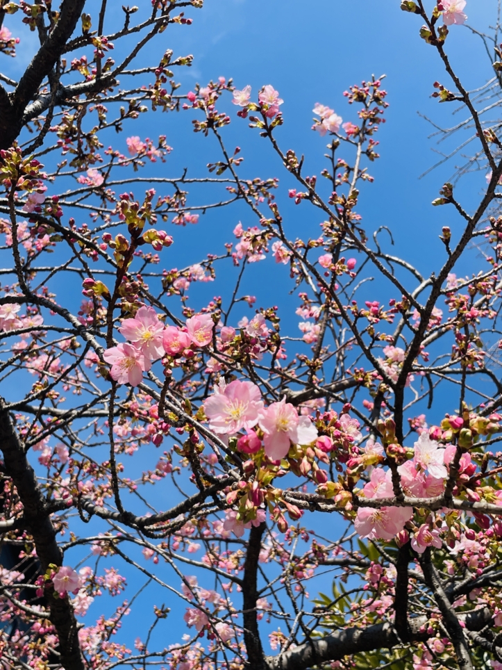【保土ヶ谷区】川島町第3公園