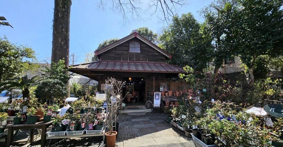 お花と緑に囲まれて幸せ気分(^^♪　《渋谷園芸　練馬本店》