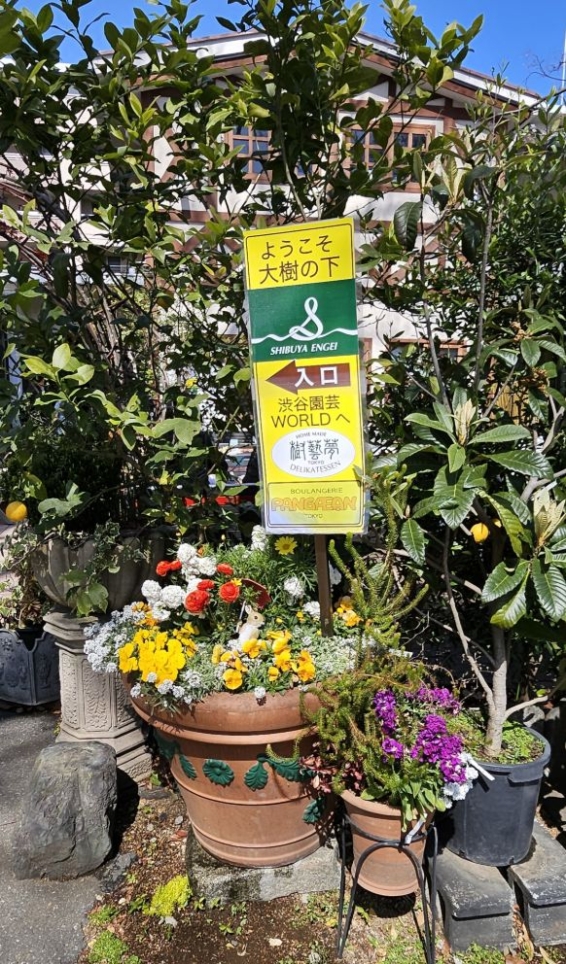 お花と緑に囲まれて幸せ気分(^^♪　《渋谷園芸　練馬本店》