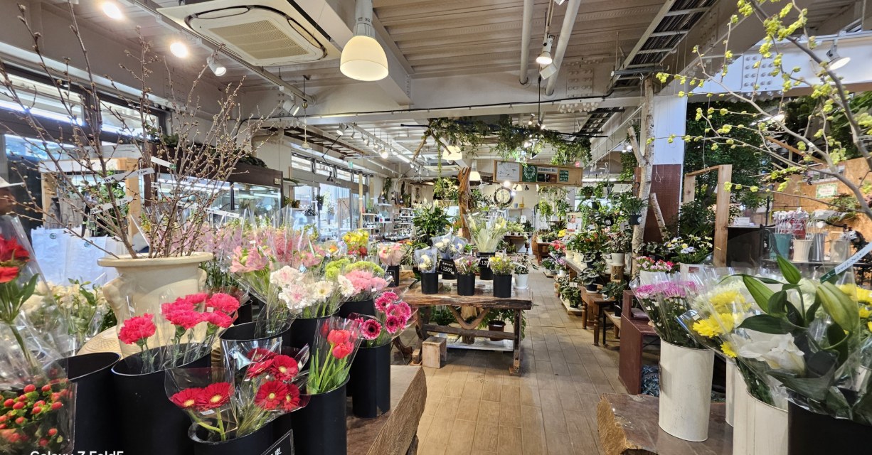 お花と緑に囲まれて幸せ気分(^^♪　《渋谷園芸　練馬本店》