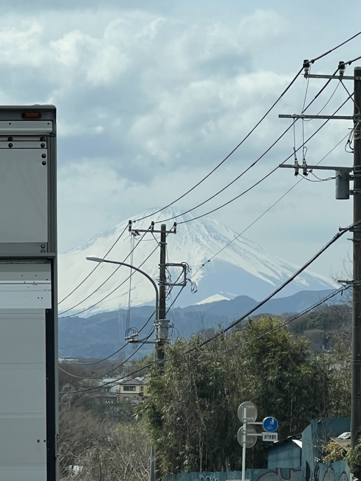 富士山の見える場所でいちご狩り～♪【蓑毛ベリー園/秦野】