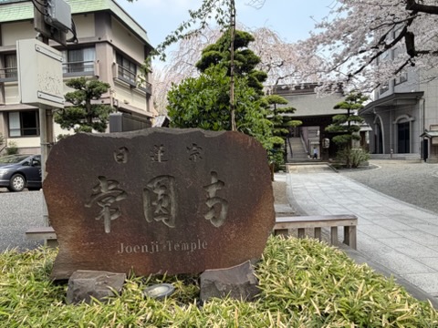 ◆新宿◆都会の高層ビルの中に現れる“🌸春の隠れ家🌸”＜常園寺＞