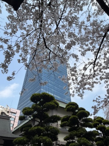 ◆新宿◆都会の高層ビルの中に現れる“🌸春の隠れ家🌸”＜常園寺＞
