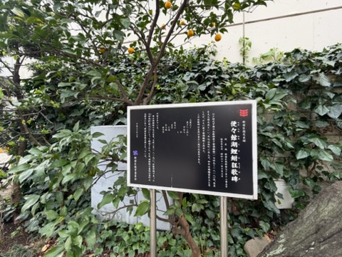 ◆新宿◆都会の高層ビルの中に現れる“🌸春の隠れ家🌸”＜常園寺＞