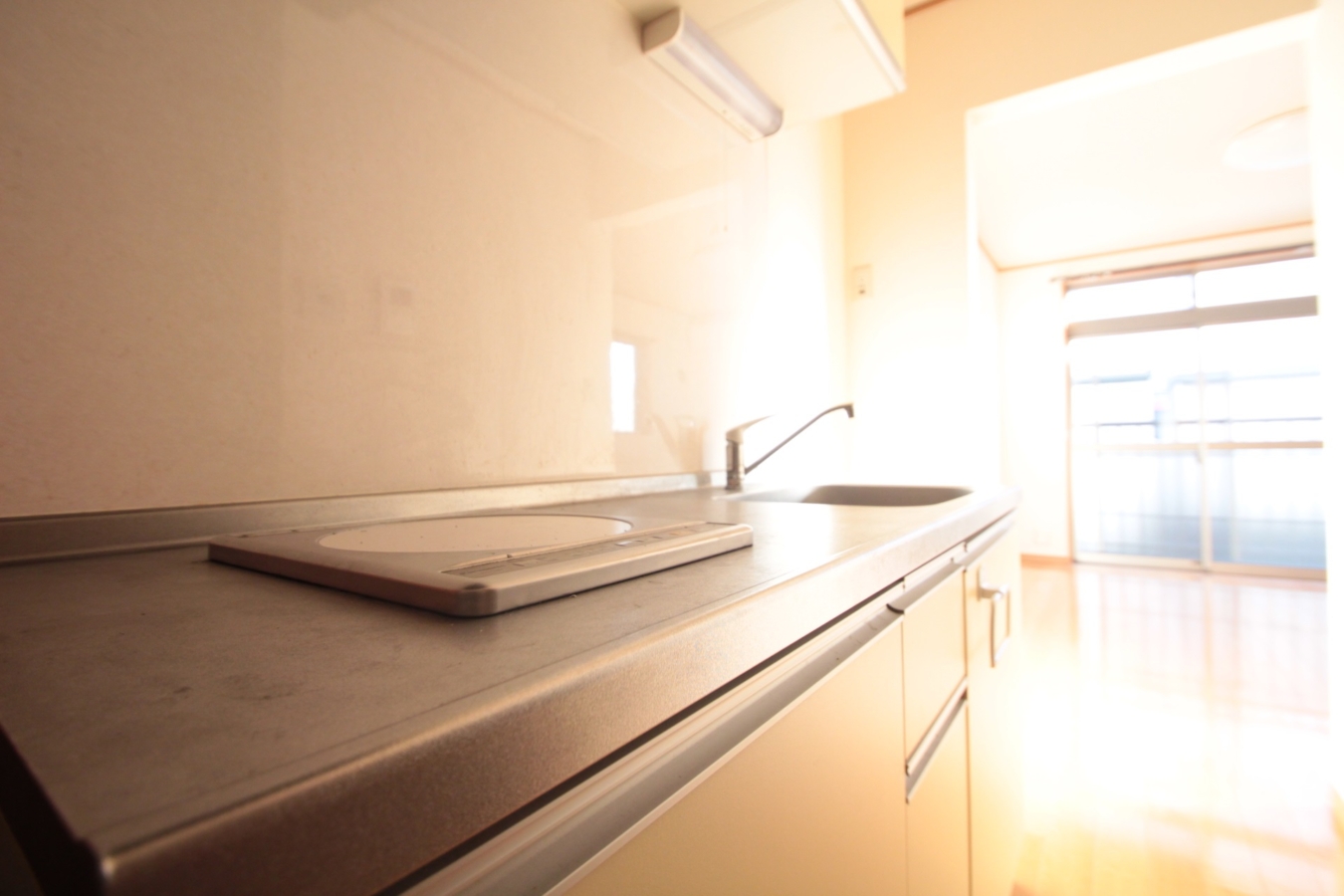 【アイリス】横国生に大人気！キッチン広くてオススメです♪