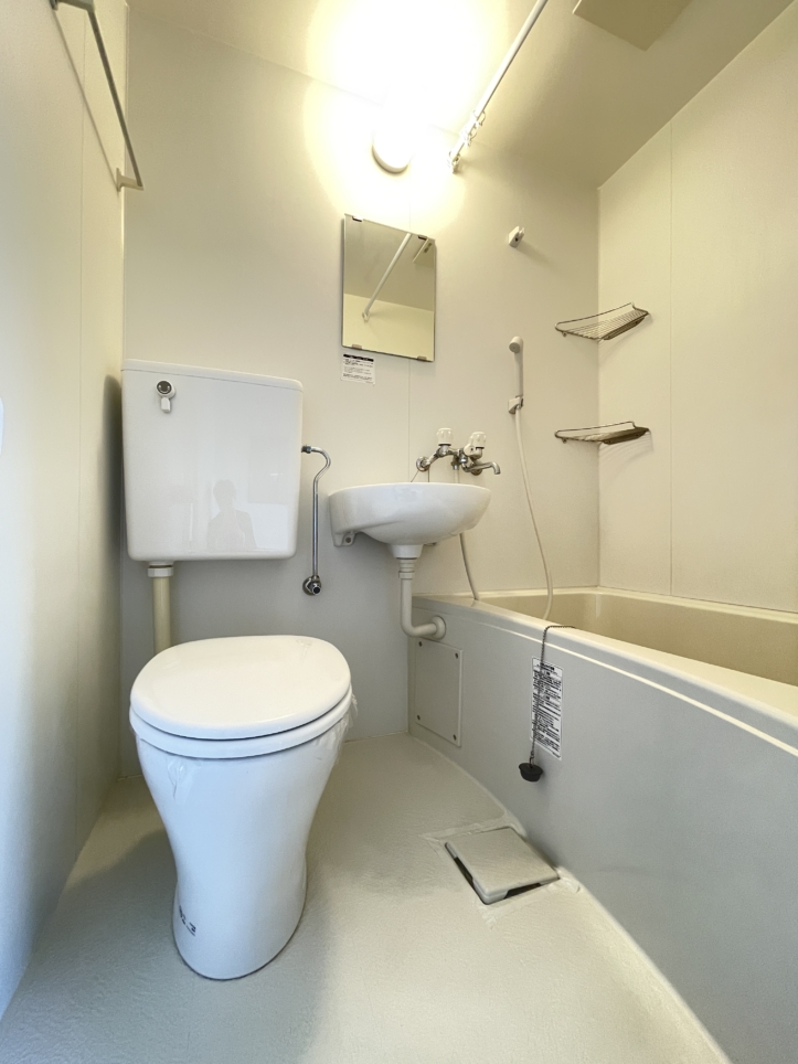 建物真下にまいばすけっと！広めのワンルーム★　～アセントマウンテン容湖～