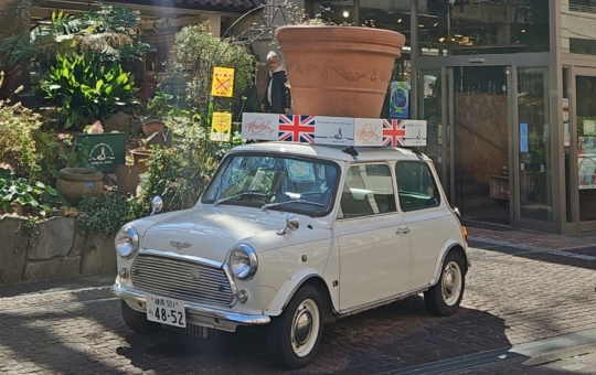 お花と緑に囲まれて幸せ気分(^^♪　《渋谷園芸　練馬本店》