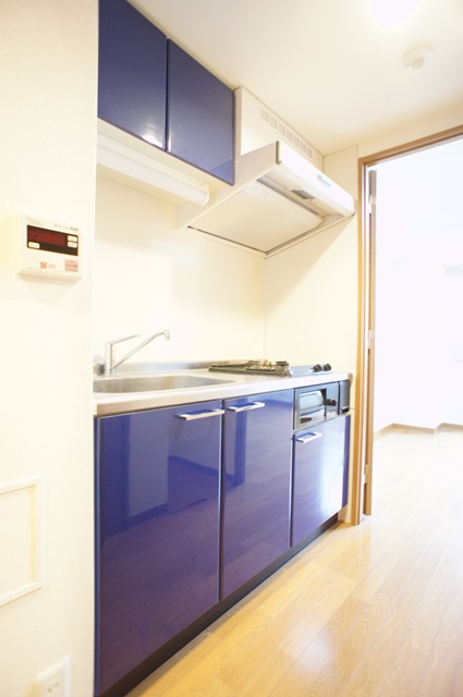 登戸駅から徒歩3分！独立洗面台付1K☆(ラフィーネ多摩川 303)