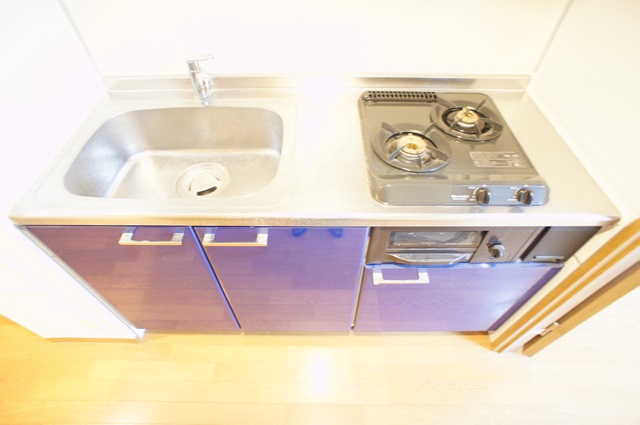 登戸駅から徒歩3分！独立洗面台付1K☆(ラフィーネ多摩川 303)