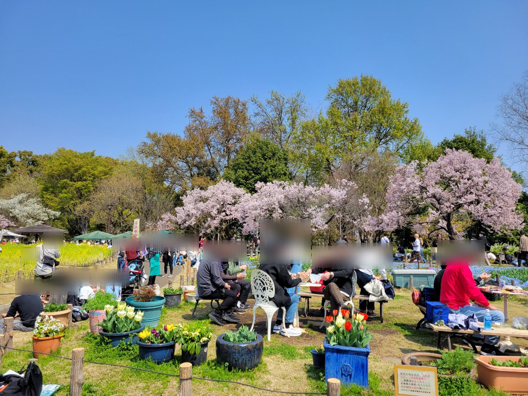 高遠コヒガン桜まつり2026🌸