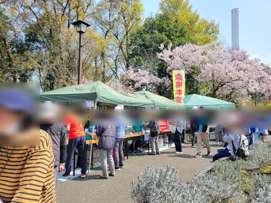 高遠コヒガン桜まつり2026🌸