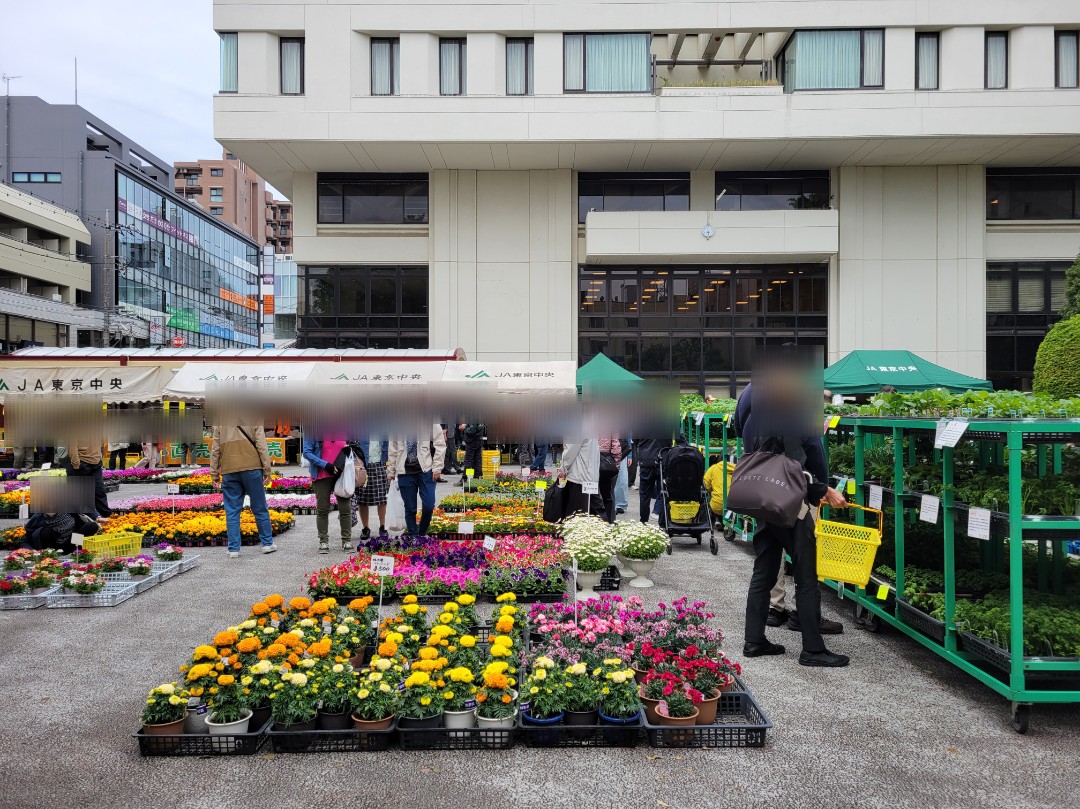 チャリティー園芸市🌼2026