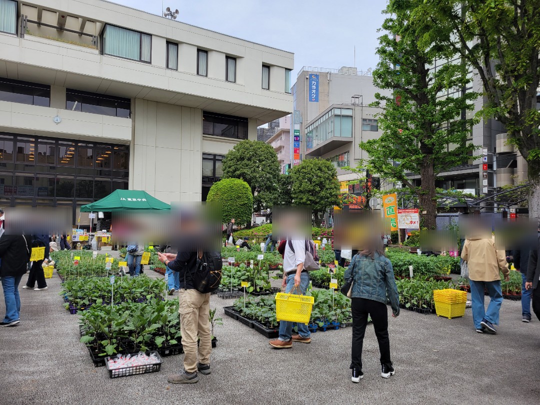 チャリティー園芸市🌼2026
