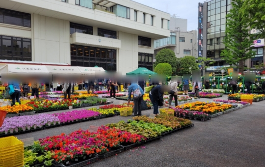 チャリティー園芸市🌼2026