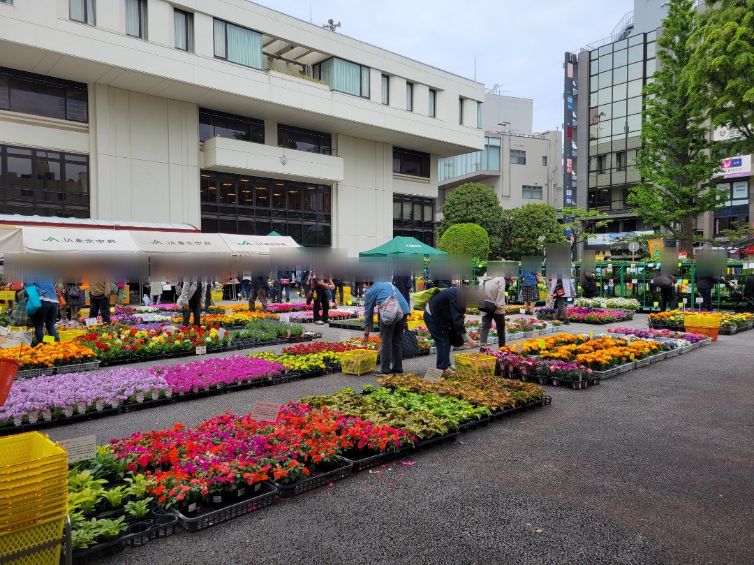 チャリティー園芸市🌼2026
