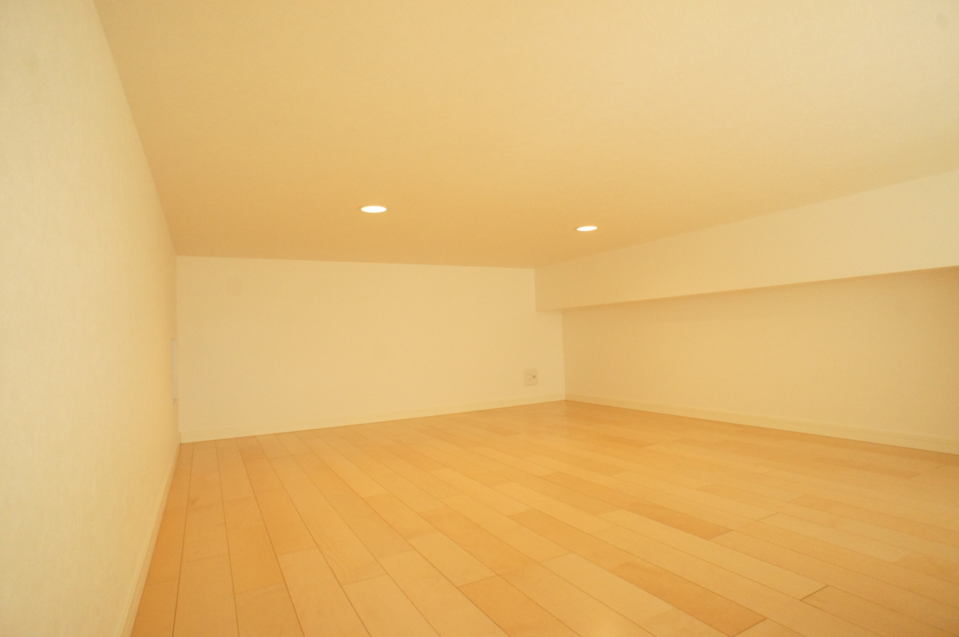 バス／トイレ別の1K☆(アザーレ・クオン中野島 104)