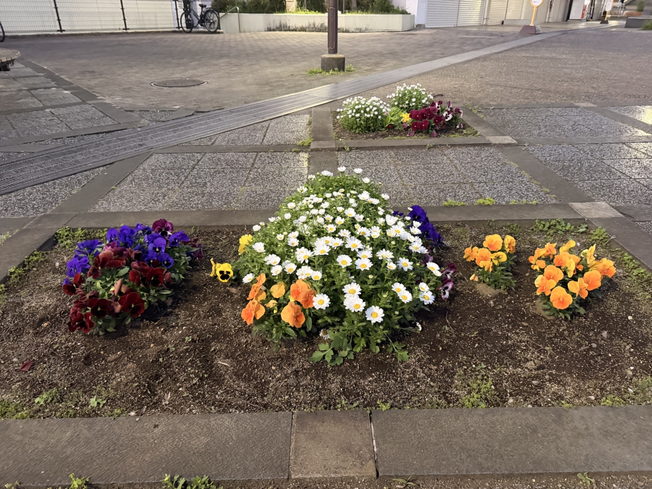 レトロな街並み【諏訪名店街の紅茶屋さん】
