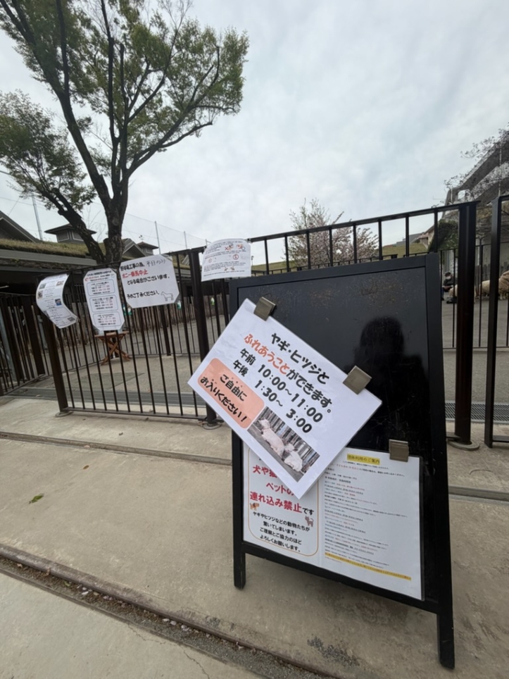 ◆無料◆板橋区立こども動物園に行ってきた！都会でふれあえる癒しスポット＜板橋区役所前＞