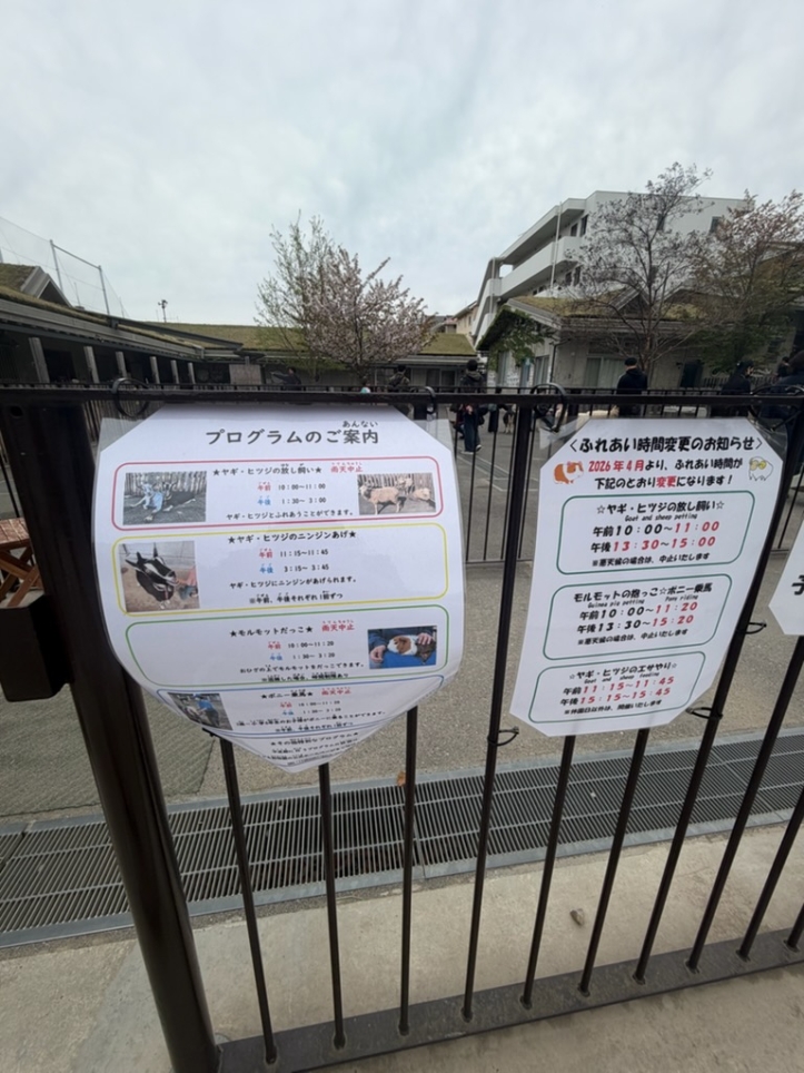 ◆無料◆板橋区立こども動物園に行ってきた！都会でふれあえる癒しスポット＜板橋区役所前＞