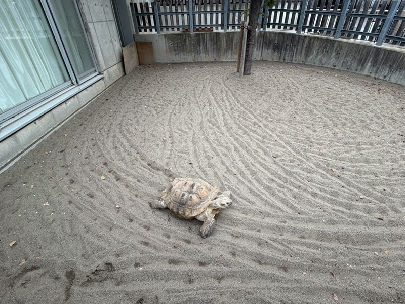◆無料◆板橋区立こども動物園に行ってきた！都会でふれあえる癒しスポット＜板橋区役所前＞
