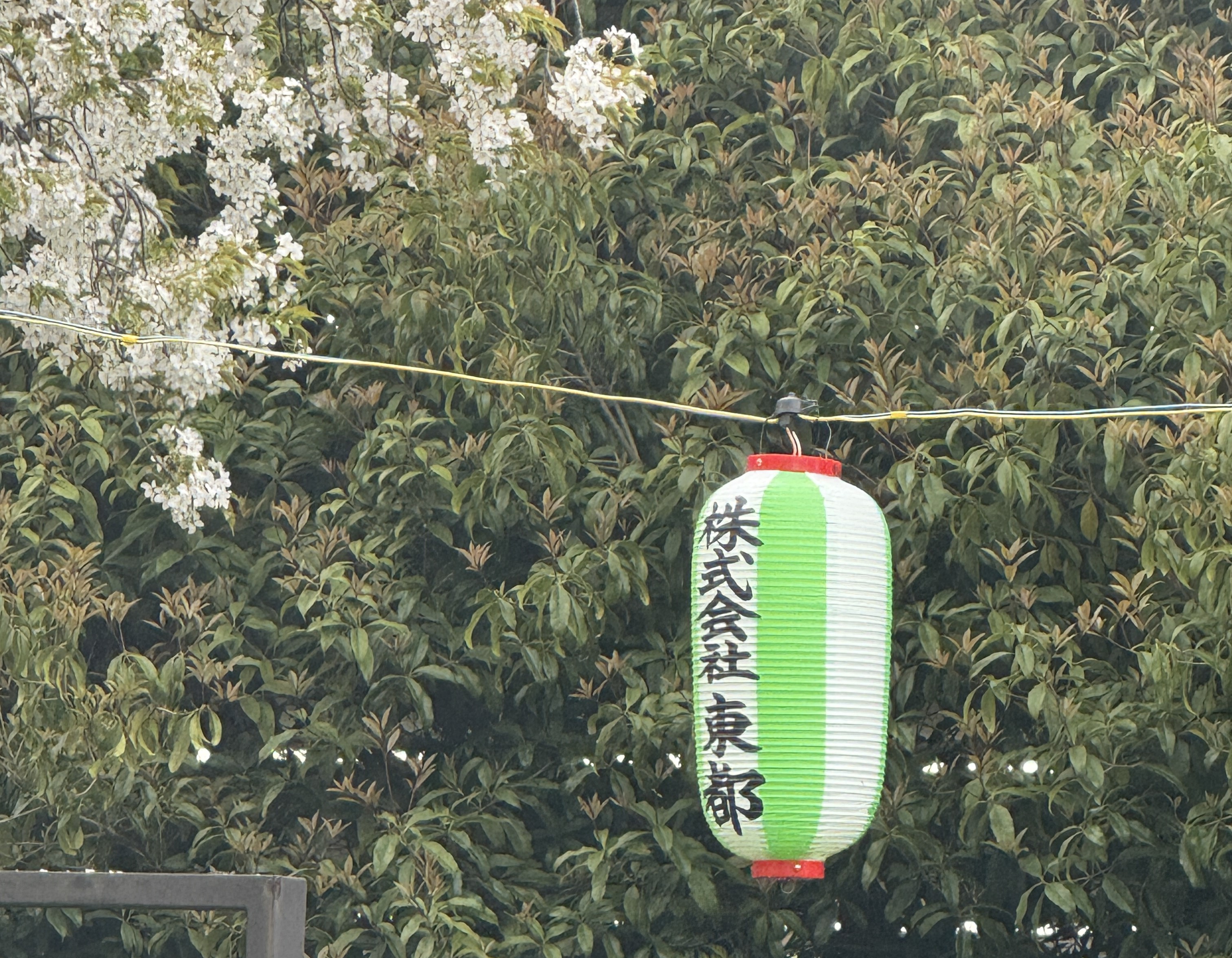 CSR活動/多摩センター桜まつりに協賛