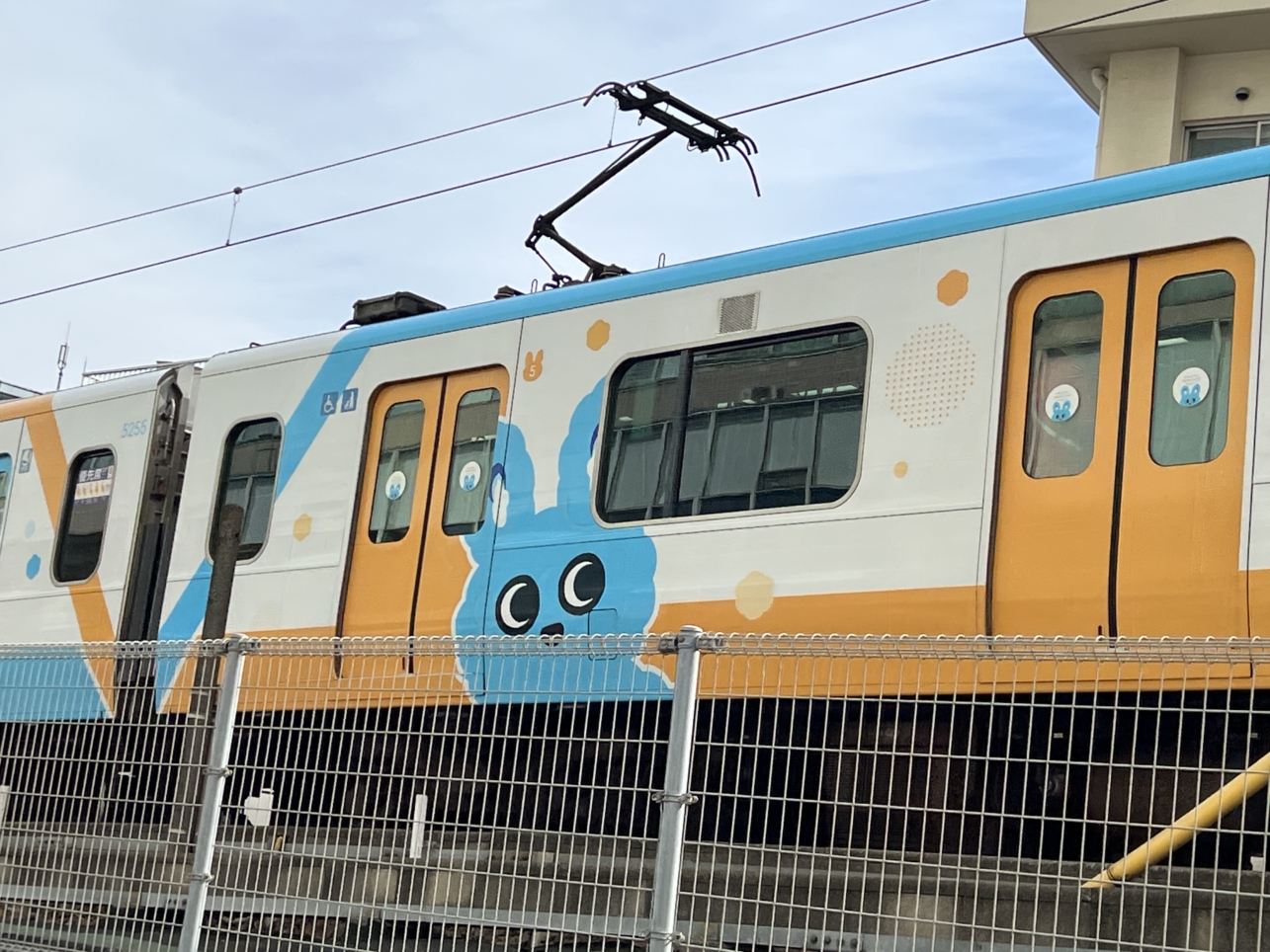 電車が見える絶好スポット【相模大野】