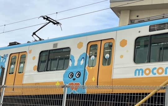 電車が見える絶好スポット【相模大野】