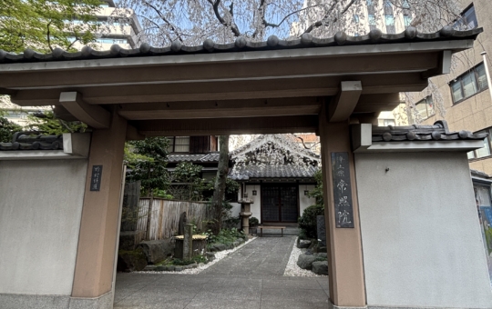 見事なしだれ桜🌸【常照院】