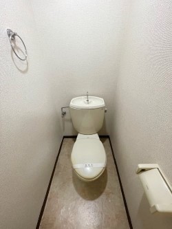 登戸駅徒歩3分！リノベーション済1K☆(サンメゾン多摩102)